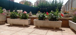Jardín